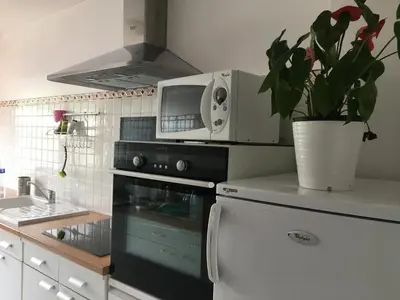 a kitchen with a stove and a microwave and a potted plant at LE PARADISO centre SAINT-GERVAIS in Saint-Gervais-les-Bains