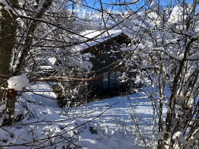 a snow covered yard with trees in the foreground at Chalet Le Paddock in Saint-Gervais-les-Bains
