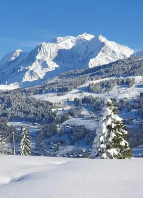 a snow covered mountain range with a tree in the foreground at Le Sapin B19 Megeve - Demi Quartier in Megève