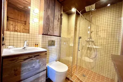 a bathroom with a shower and a toilet and a sink at Tatiana 2 in Megève