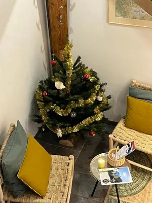 a christmas tree in the corner of a living room at un nid sous les toits in Saint-Gervais-les-Bains