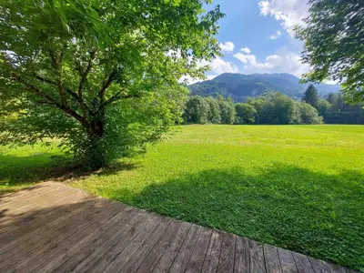 a tree sitting on top of a wooden deck at Chalet 3 chambres avec piscine et parking à Samoëns - FR-1-624-111 in Samoëns