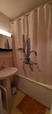 a bathroom with a shower curtain with a flower on it at Un havre de paix aux pieds des chemins de montagne in Les Contamines-Montjoie