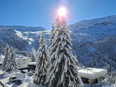 a snow covered christmas tree on top of a mountain at Appartement lumineux 2 pièces, proche des pistes avec balcon - FR-1-425-175 in Arâches-la-Frasse