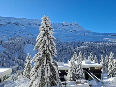a snow covered christmas tree on top of a mountain at Appartement lumineux 2 pièces, proche des pistes avec balcon - FR-1-425-175 in Arâches-la-Frasse