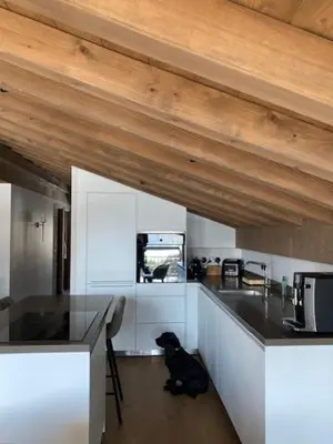 a dog sitting at a counter in a kitchen at LE 1307 in Megève