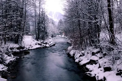 a stream in a snowy forest with snow covered trees at Cozy Alpine Stay Séjour cosy au centre in Chamonix-Mont-Blanc