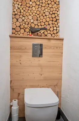 a bathroom with a toilet with a wooden wall at Charmant Studio tout confort au Brévent-Chamonix in Chamonix-Mont-Blanc