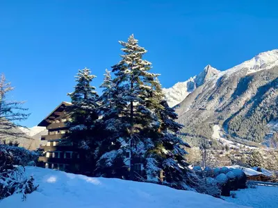 a snow covered tree in front of a lodge at Charmant Studio tout confort au Brévent-Chamonix in Chamonix-Mont-Blanc