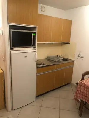 a kitchen with a refrigerator and a microwave at Studio Les Carroz in Les Carroz d'Araches