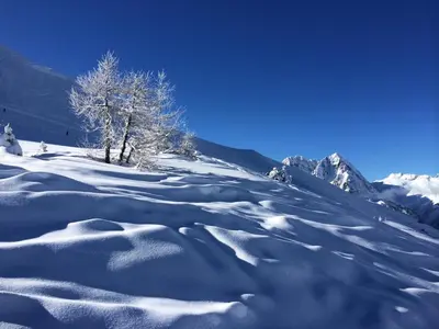 a snow covered slope with a tree and mountains at Exceptionnel duplex en Residence & Spa Vallorcine Mont-Blanc 5 étoiles in Vallorcine