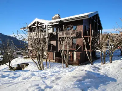 a house in the snow with trees in front of it at Studio spacieux 4 pers avec parking et lave-vaisselle - FR-1-572-93 in Arâches-la-Frasse