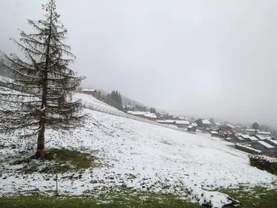 a snow covered hill with a pine tree on it at Studio spacieux 4 pers avec parking et lave-vaisselle - FR-1-572-93 in Arâches-la-Frasse