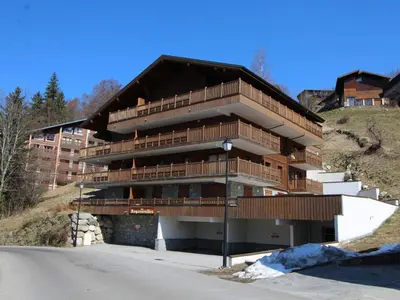 a large building with wooden balconies on a hill at Appartement cosy 6 personnes avec garage, terrasse et wifi au cœur du village, proche pistes et commerces - FR-1-572-251 in Arâches-la-Frasse