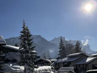 a snow covered christmas tree in front of a mountain at Studio aux Carroz 4 pers, balcon, proche commerces et pistes - FR-1-572-254 in Arâches-la-Frasse