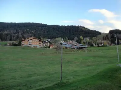 a large field with a house in the background at Studio pour 6 pers avec sdd rénovée et parking, sur les pistes - FR-1-572-80 in Arâches-la-Frasse