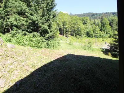 a large shadow of a field with trees in the background at Appartement cosy 5 pers., pied des pistes, balcon est, proche commerces, parking & services - FR-1-572-94 in Arâches-la-Frasse