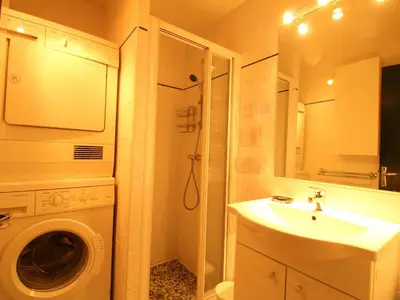 a bathroom with a sink and a washing machine at Chalet 5 ch, 11 pers, terrasse sud, Les Carroz - FR-1-572-115 in Arâches-la-Frasse