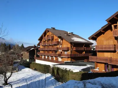 a large wooden building with snow on the ground at Studio spacieux 4 pers avec garage, lave-vaisselle aux Carroz - FR-1-572-159 in Arâches-la-Frasse