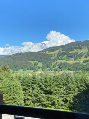 a view of a valley with trees and mountains at Appartement face Mont Blanc in Demi-Quartier