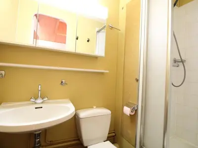 a bathroom with a sink and a toilet and a shower at Studio confortable 4 pers, au pied des pistes de Flaine avec balcon - FR-1-687-28 in Arâches-la-Frasse