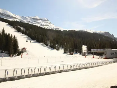 a snow covered mountain with a ski slope with trees at Studio confortable 4 pers, au pied des pistes de Flaine avec balcon - FR-1-687-28 in Arâches-la-Frasse