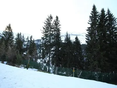 a snowy hill with a fence and some trees at Studio rénové à Flaine Forêt, résidence Sirius, à 500m des pistes – 5 couchages - FR-1-687-17 in Arâches-la-Frasse