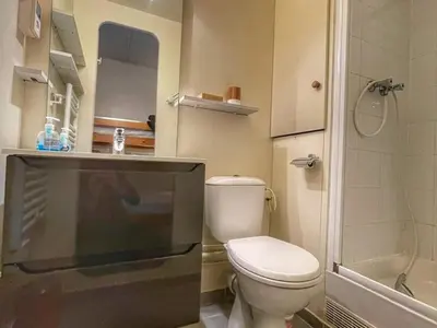 a small bathroom with a toilet and a shower at Studio pour 4 pers à Flaine, au pied des pistes - FR-1-687-60 in Arâches-la-Frasse
