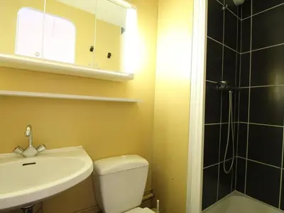 a bathroom with a toilet and a sink and a shower at Studio en front de neige à Flaine, idéal pour skieurs, 4 pers, animaux admis - FR-1-687-58 in Arâches-la-Frasse