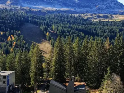 an aerial view of a forest of trees at Appartement 3 pièces, 8 pers, Résidence Cassiopée, Flaine Forum, à 50m des pistes et commerces - FR-1-687-87 in Arâches-la-Frasse