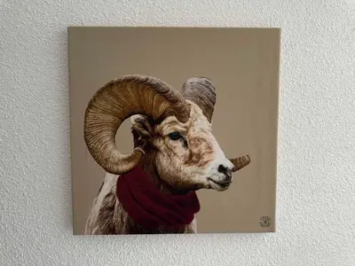 a ram with large horns is on a wall at Studio confortable pour 4 personnes au pied des pistes - FR-1-642-75 in Morillon