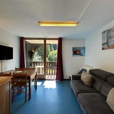 Studio confortable pour 4 personnes au pied des pistes - FR-1-642-75