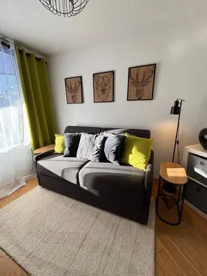 a black couch in a living room with green curtains at Green Apple Chamonix, centre, parking, ski-in/out in Chamonix-Mont-Blanc