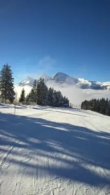 a snow covered slope with trees and mountains in the background at gcf210 in Les Carroz d'Araches