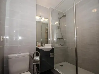 a bathroom with a toilet and a sink and a shower at Studio cosy avec Wifi au pied des pistes - 4 pers. - FR-1-343-154 in Chamonix-Mont-Blanc