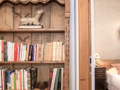 a book shelf filled with books and a cat statue at Superbe 4* Appartement de 3 Chambres au Cœur de Chamonix avec Wifi - FR-1-343-186 in Chamonix-Mont-Blanc