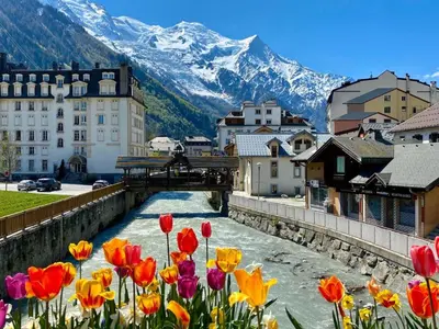 a bunch of tulips in front of a town with mountains at Chamonix Bellevue in Chamonix-Mont-Blanc