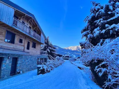 a living room with a couch and a wood stove at Chalet Amour blanc Chamonix Les Houches in Les Houches