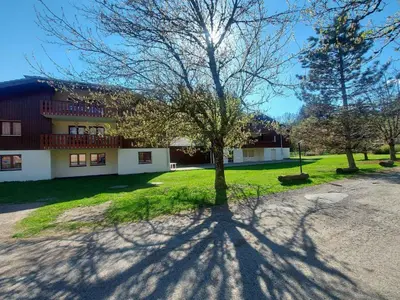 a tree casts a shadow in front of a building at Appartement lumineux avec piscine et parking près du centre - FR-1-624-125 in Samoëns