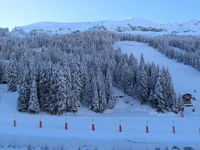 a forest of trees covered in snow with a house at Studio idéal pour l'hiver au pied des pistes - FR-1-687-112 in Arâches-la-Frasse