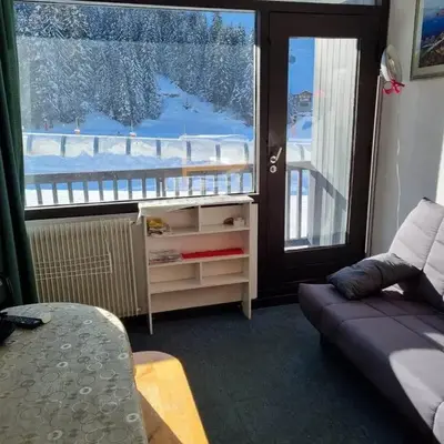 Studio idéal pour l'hiver au pied des pistes - FR-1-687-112