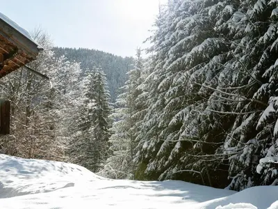 a group of trees covered in snow next to a house at Studio 4 pers avec lave-linge, pied des pistes et parking couvert à Arâches-la-Frasse - FR-1-572-266 in Arâches-la-Frasse