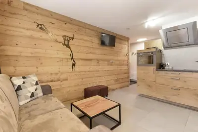 a bathroom with a shower and a white sink at Perce-Neige - Centre Chamonix in Chamonix-Mont-Blanc