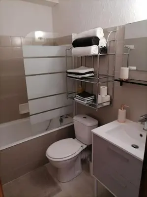 a bathroom with a white toilet and a sink at Saint-Gervais, appart cosy, piscine & pied des pistes in Saint-Gervais-les-Bains