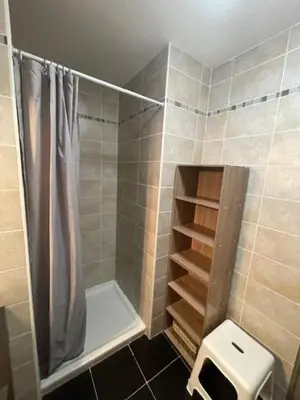 a bathroom with a shower curtain and a toilet at Lune D'Argent Appartement avec vue sur la montagne in Megève
