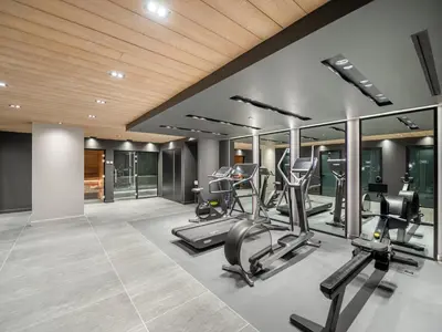 a gym with treadmills and elliptical machines at Appartement neuf avec terrasse, 2 chambres près des pistes, sauna, hammam, salle de sport, parking - FR-1-569-57 in Megève