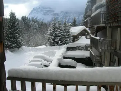 a yard covered in snow with a mountain in the background at Coquet Studio de 4 personnes aux Carroz - Balcon et Wifi in Les Carroz d'Araches