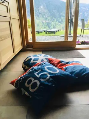 a pillow laying on the floor in front of a door at Gîte Au Balcon de Passy/Plaine Joux, classé 2 ** in Passy