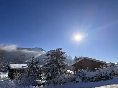 a snow covered tree in front of a house at Chalet cosy 3 chambres pour 6 personnes à Arâches-la-Frasse, proche centre village et pistes. - FR-1-572-129 in Arâches-la-Frasse