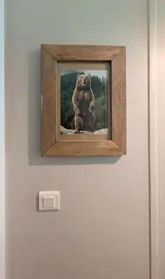 a picture of a stuffed bear on a wall at Au Petit Bois in Chamonix-Mont-Blanc